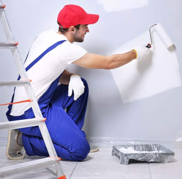 auckland professional painters